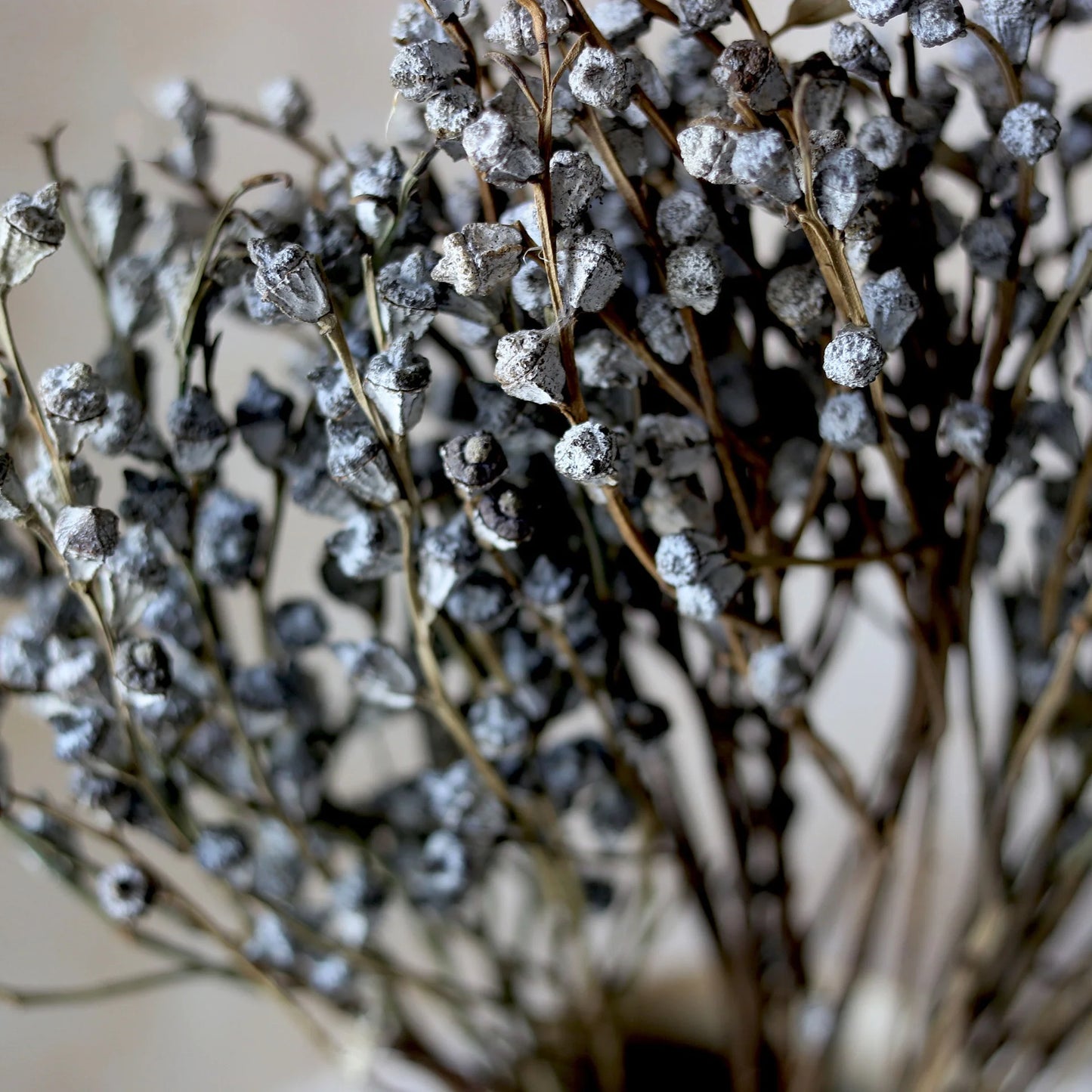 S82c908d1a33a47a896018a55fec98a965